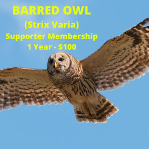 Barred Owl Supporter Membership