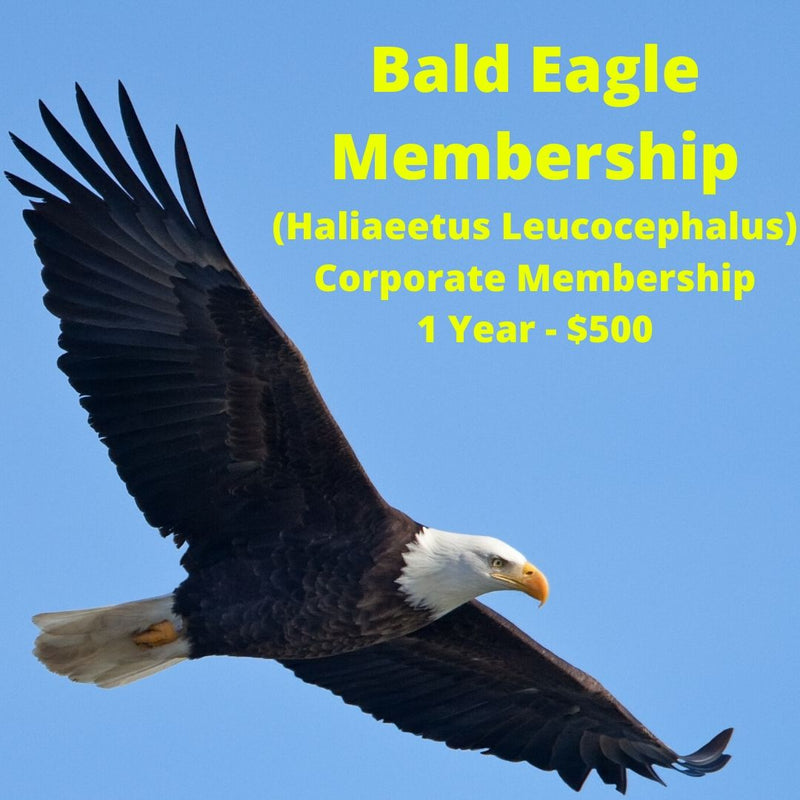 Bald Eagle Corporate Membership