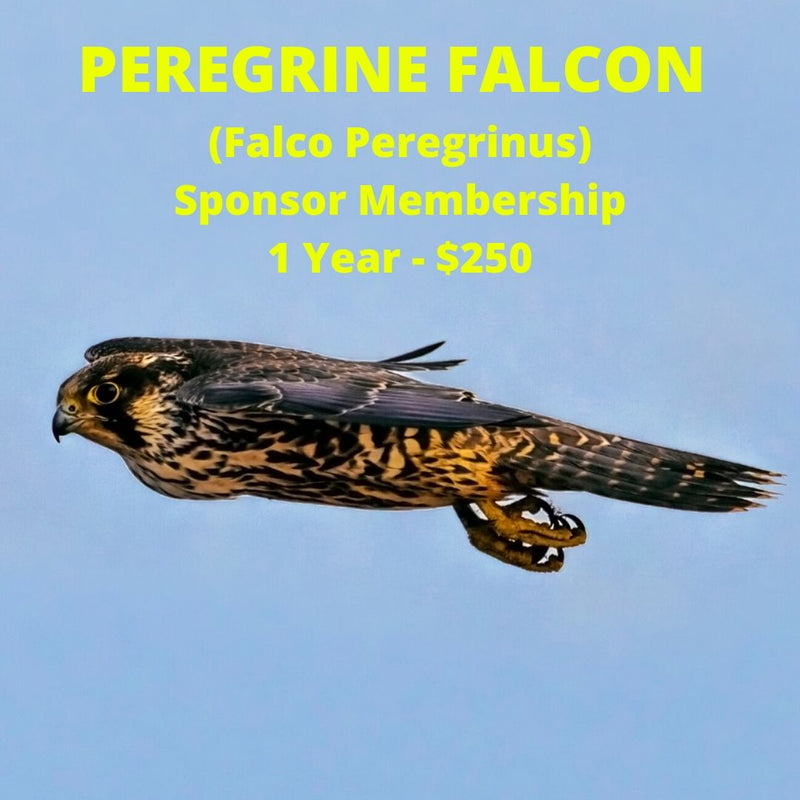 Peregrine Sponsor Membership