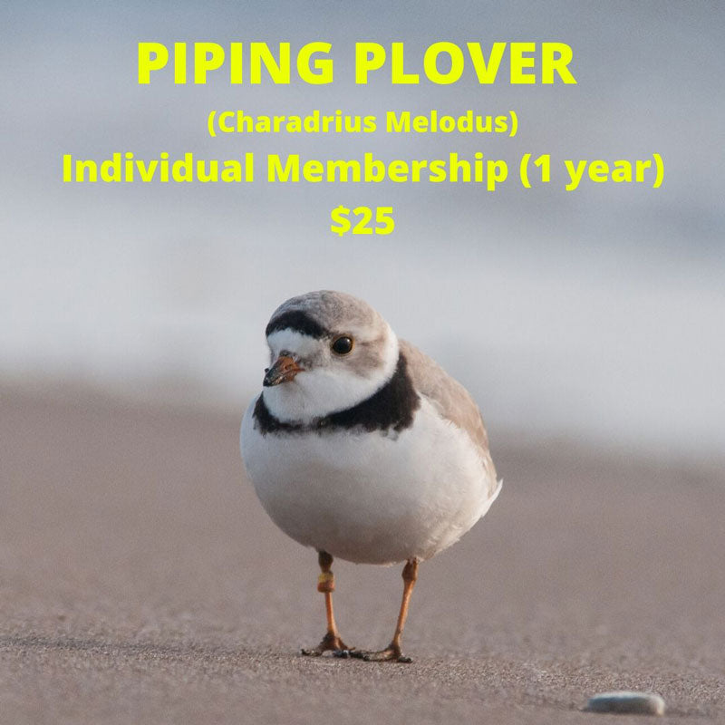 Piping Plover Level Membership