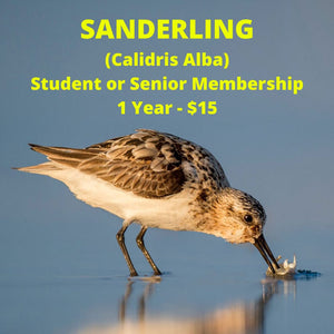 Sanderling Level Membership